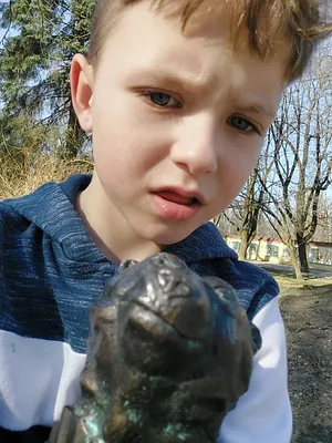 Misiowa Hetmanowa