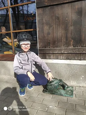 Miś z Kulą