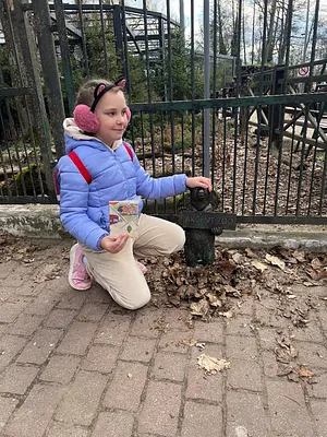 ZOO Miś