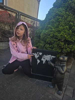 Miś Belfer